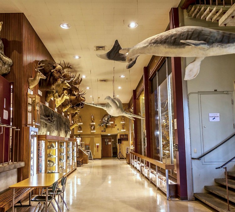 Sierra College Natural History Museum - SCNHM (Rocklin,&nbspCA)